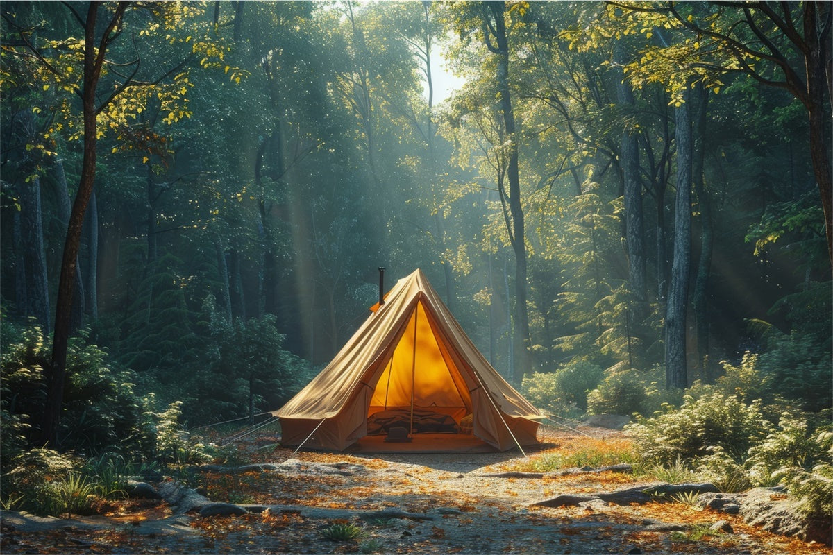 Wildnis Hintergrund Serene Deep Woods Camping Hintergrund CJJ2-42