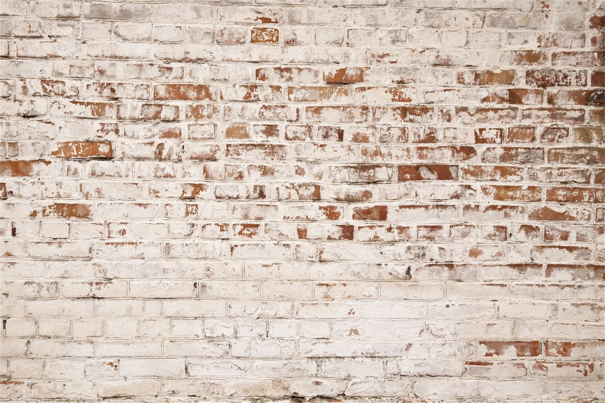 Backstein Backdrop Fotografie Rustic Aged White Brick Backdrop CJJ3-18