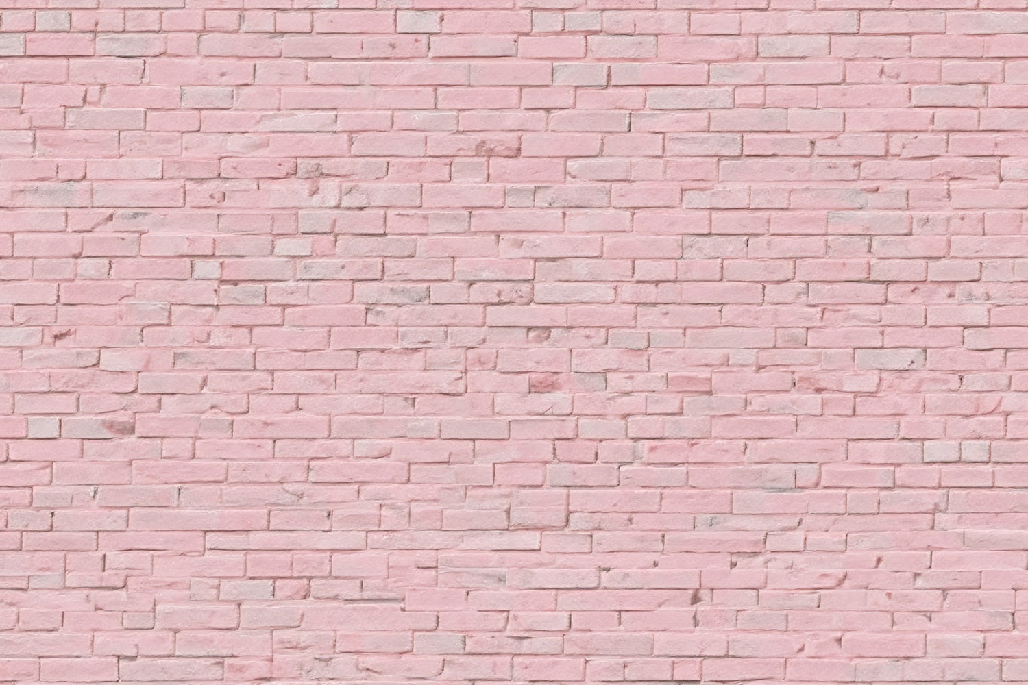 Rosa Backsteinmauer Backdrop Rosa Minimalistische Backstein Backdrop CJJ3-26