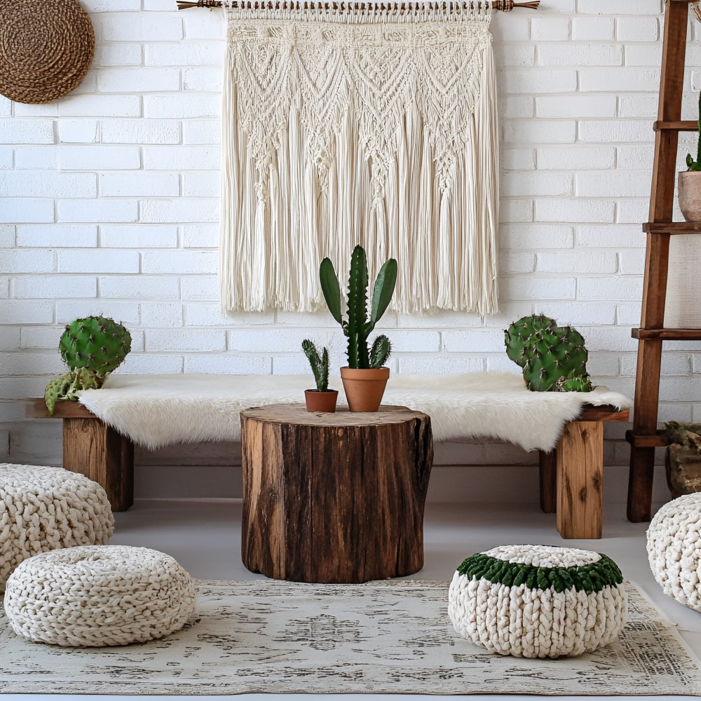 Boho Fotohintergrund Kaktus Bank Makramee Wandhintergrund CSH4-150