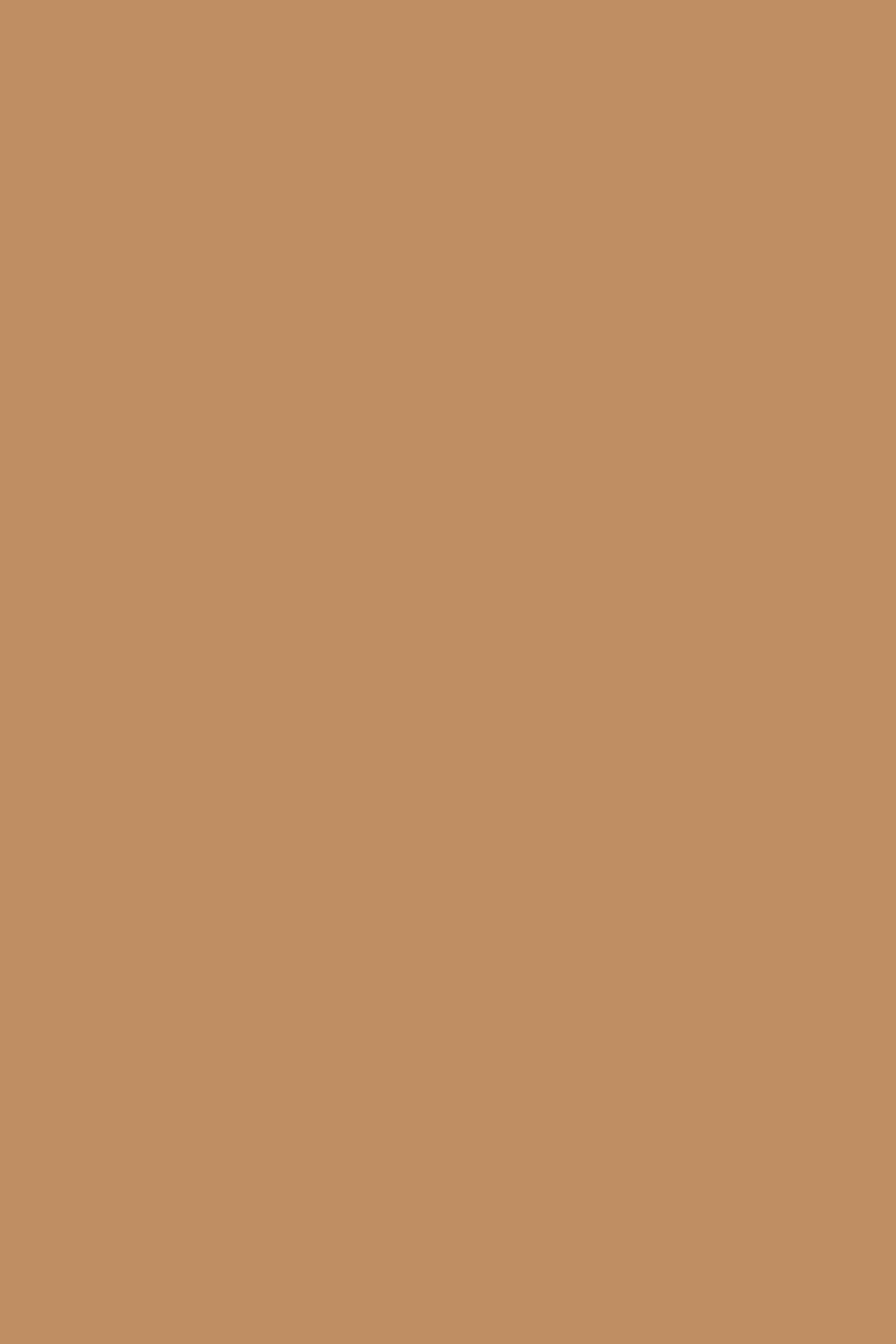 Einfarbige Backdrops Toffee Butternussbraun Backdrop CSH4-159