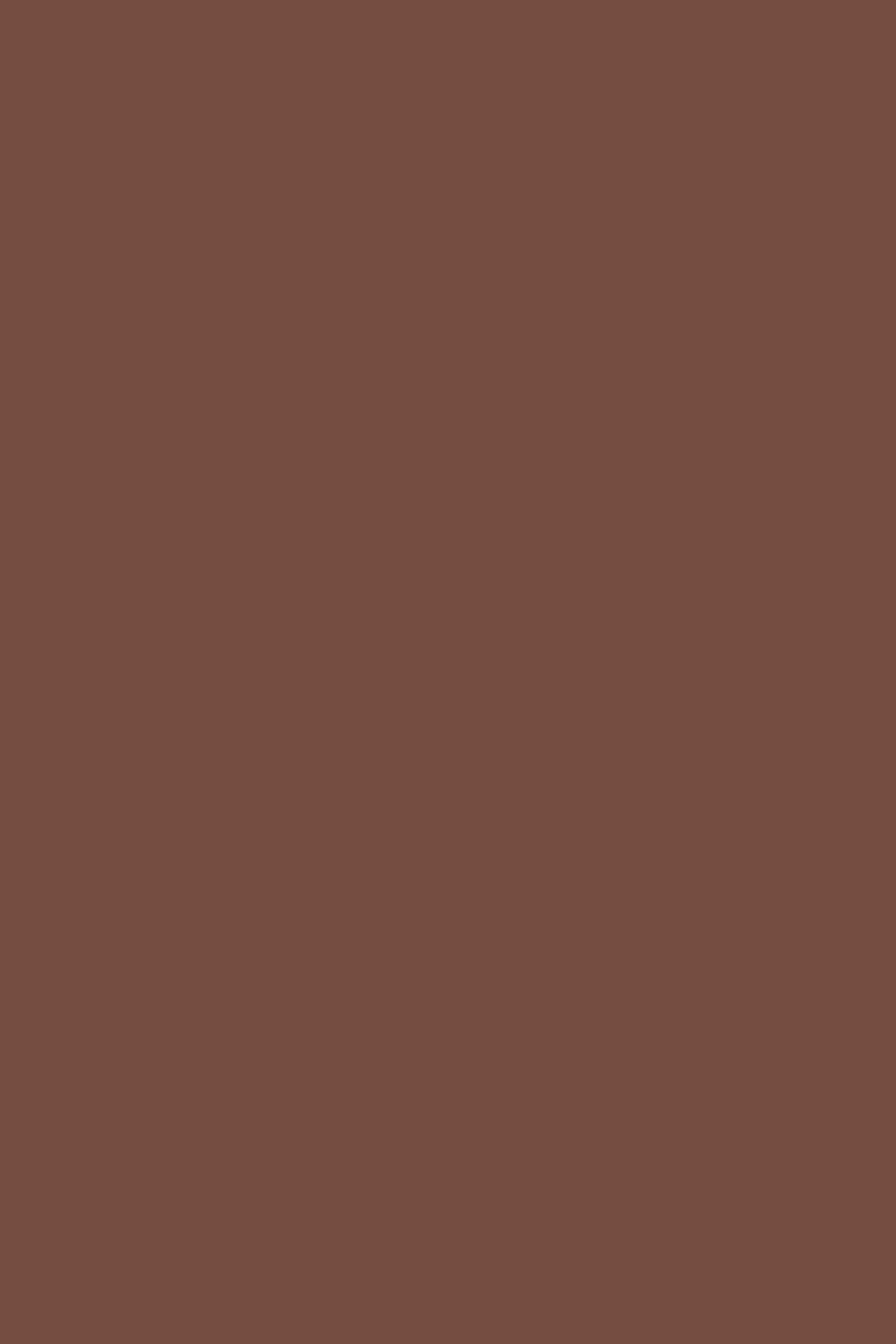 Volltonfarbe Backdrops Tiefes Terrakotta Braun Backdrop CSH4-164