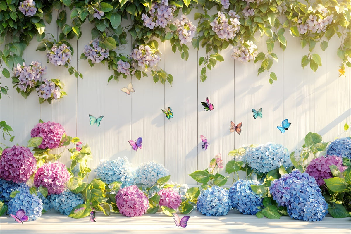 Schmetterlingshintergrund Hortensienblüten Schmetterlingshintergrund Sommer CSH5-71