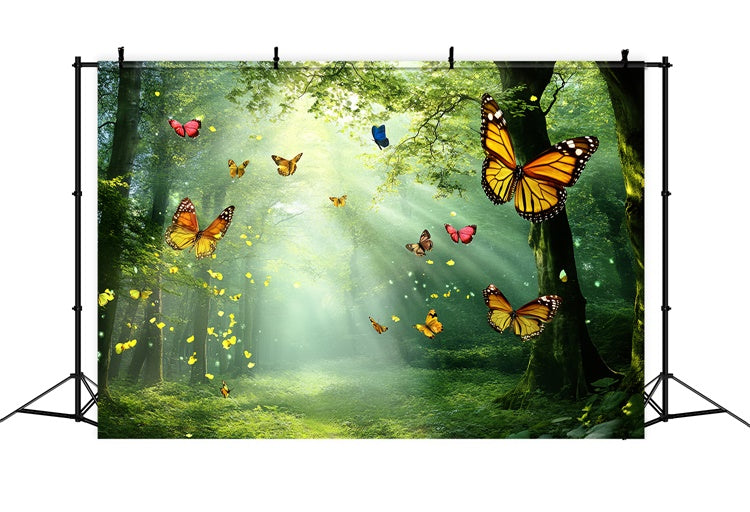 Schmetterlings-Hintergrundbilder Goldenes Licht Wald Sommer-Hintergrund CSH5-72
