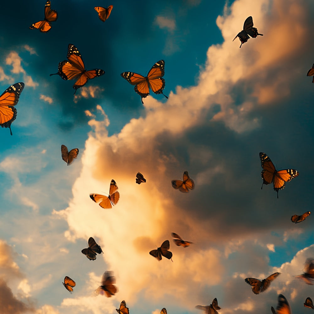 Sommer-Fotokulisse Dramatische Wolken Schmetterling Kulisse CSH5-73