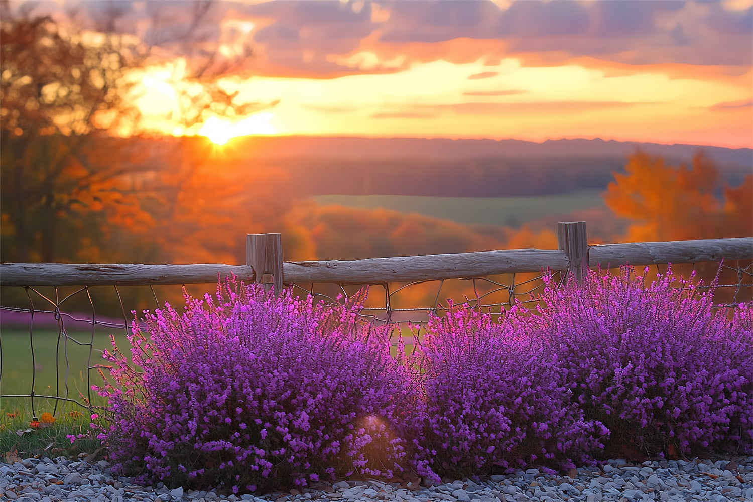 Sonnenuntergangs-Hintergrund Violet Bloom Horizon Herbst-Hintergrund CSH57-200