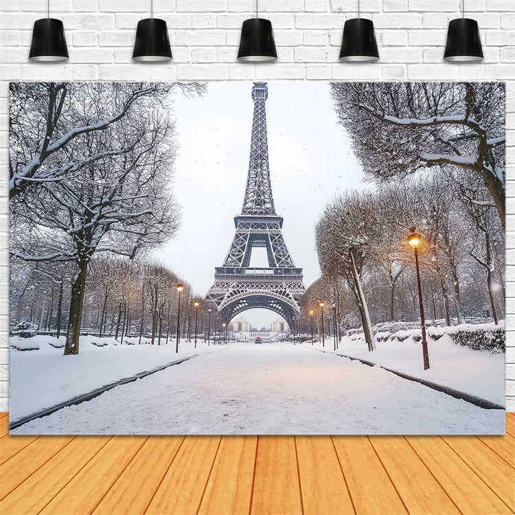 Winterszenen-Hintergrund Winter Eiffel Elegance Hintergrund CSH57-230