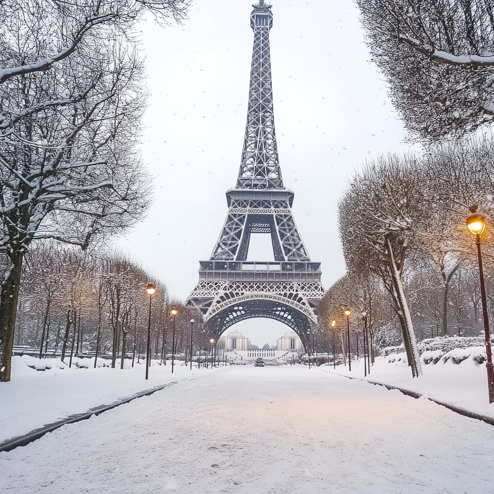 Winterszenen-Hintergrund Winter Eiffel Elegance Hintergrund CSH57-230