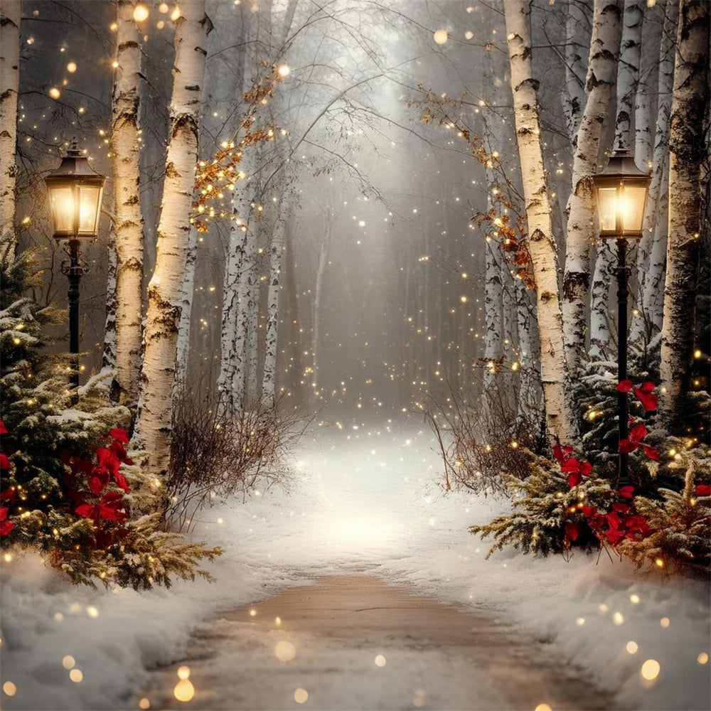 Winterszene Hintergrundkulisse Holiday Twilight Birch Backdrop CSH57-237