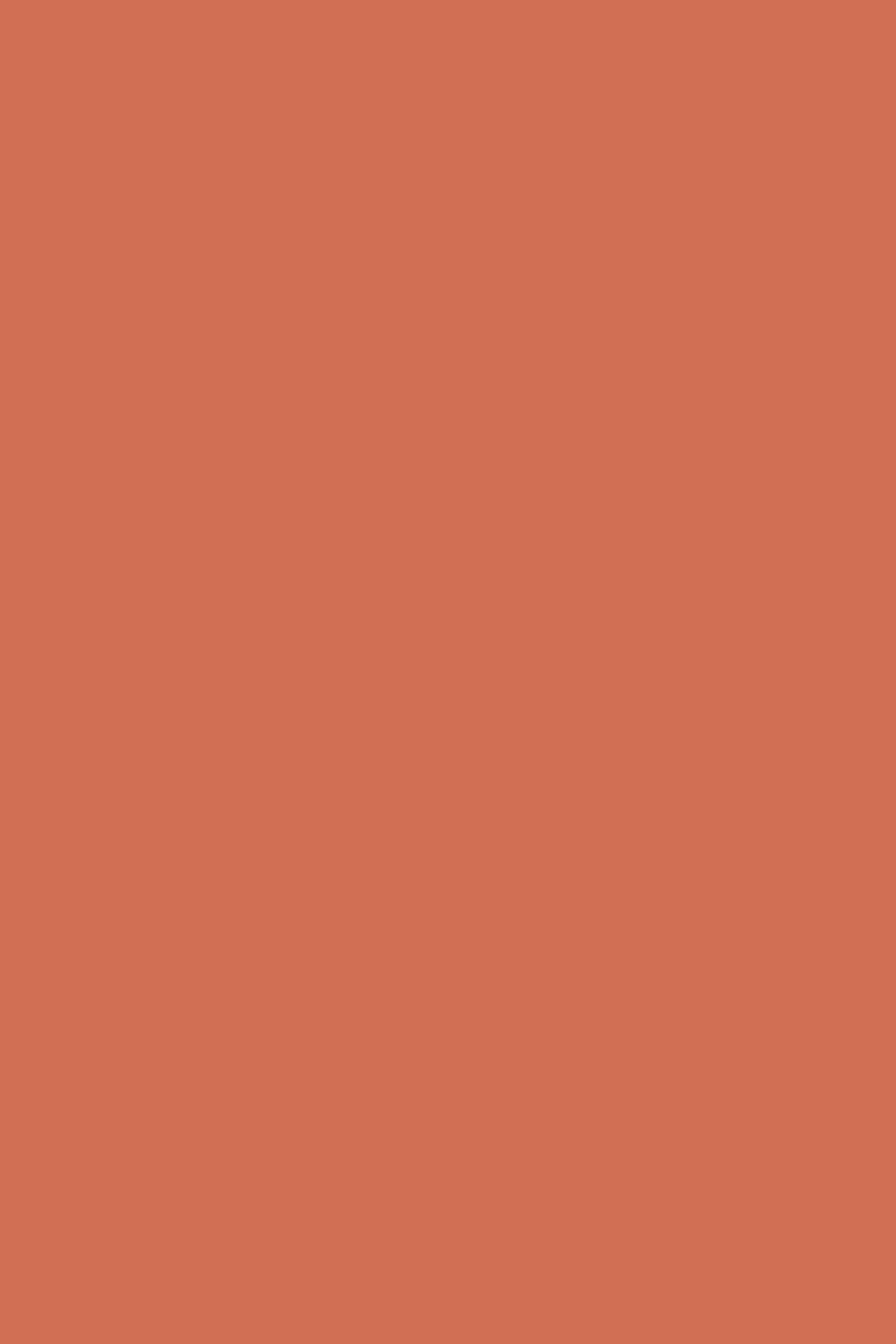 Orangefarbene Fotohintergrundkulisse Warm Terracotta Dream Foto Hintergrund CSH57-312