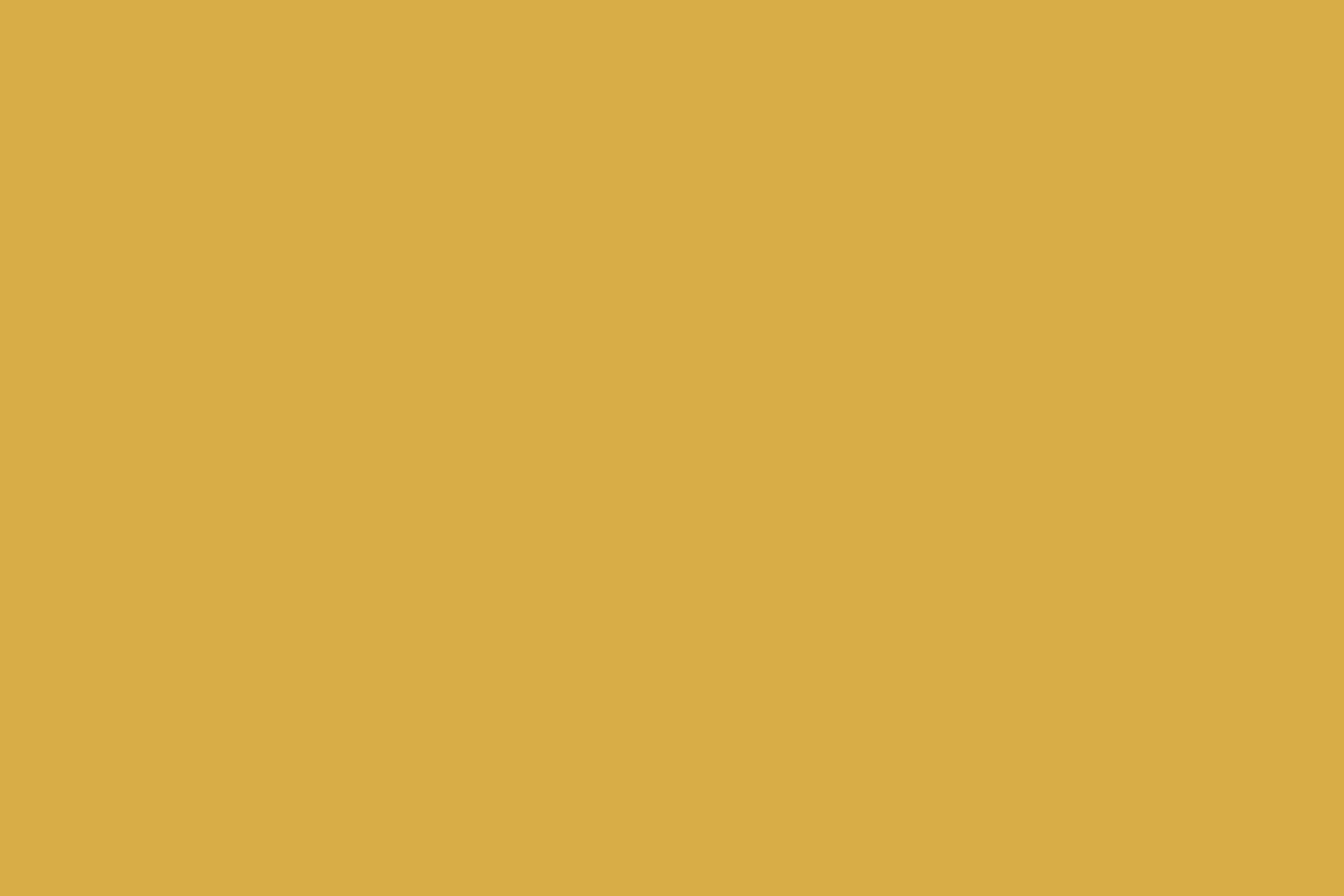 Einfarbiger Fotohintergrund Lemon Gold Sheen Backdrop CSH57-332