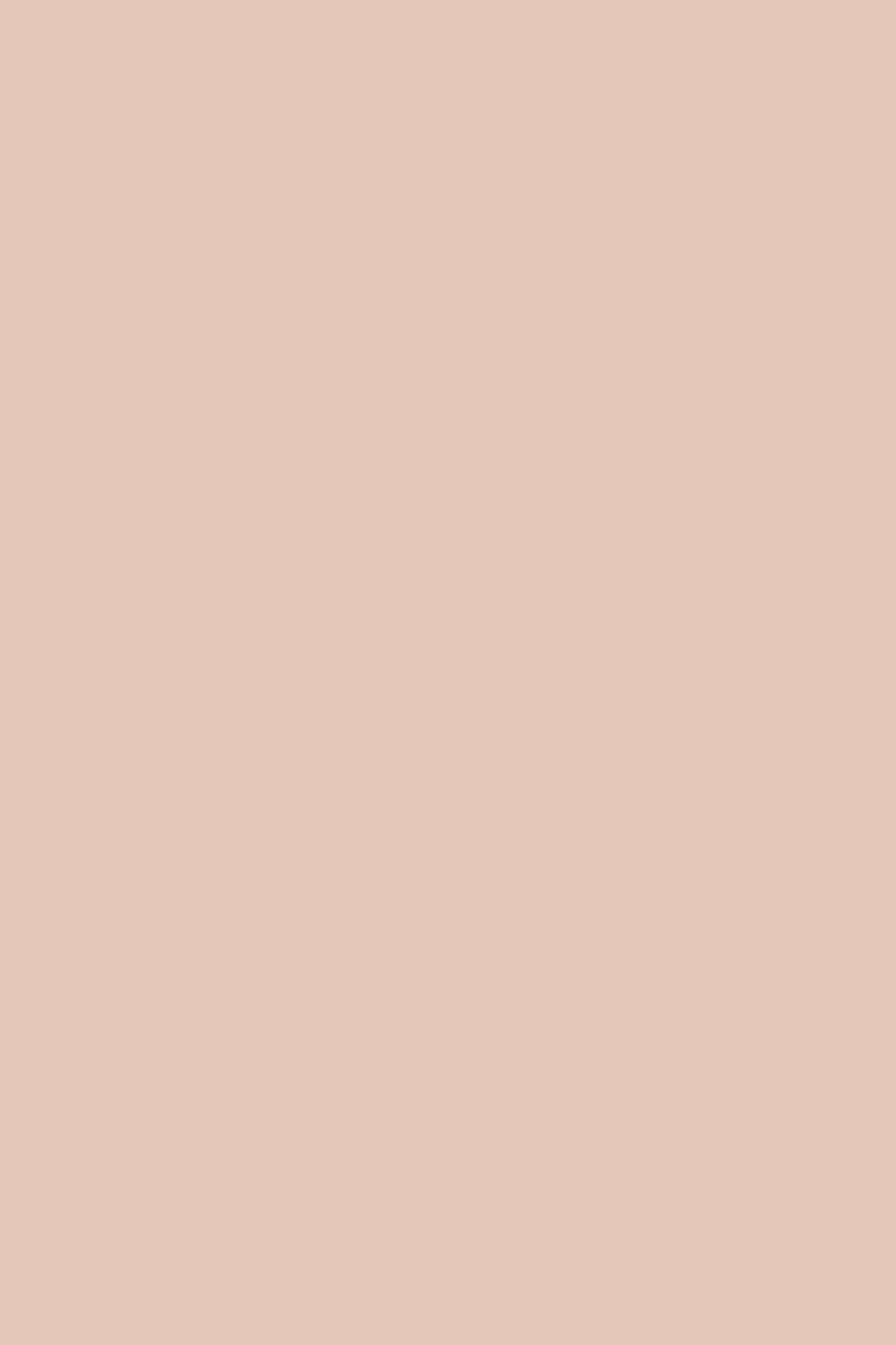 Volltonfarbe Backdrop Creamy Blush Fade Foto Hintergrund CSH57-333