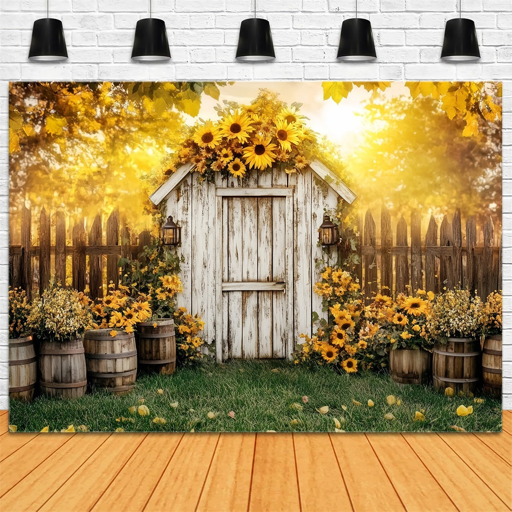 Rustikaler Foto Hintergrund Rustikaler Schuppen Sonnenblumenfässer Foto Hintergrund für Thanksgiving CSH58-141