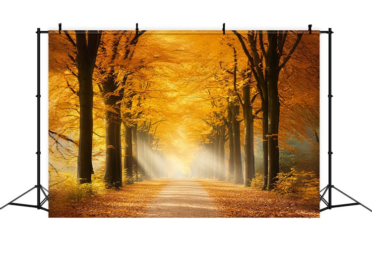 Wald Backdrop Sunlit Amber Path Autumn Leaves Backdrop CSH6-191