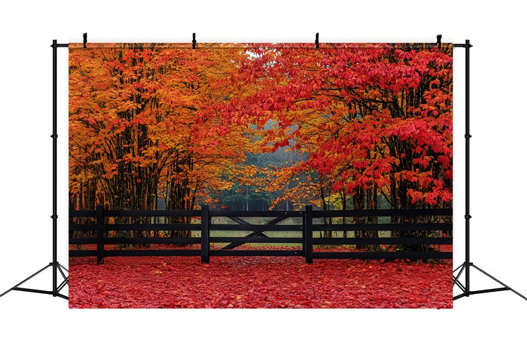 Herbst Wald Hintergrund Scharlachrot Wald Eintrag Hintergrund CSH6-220