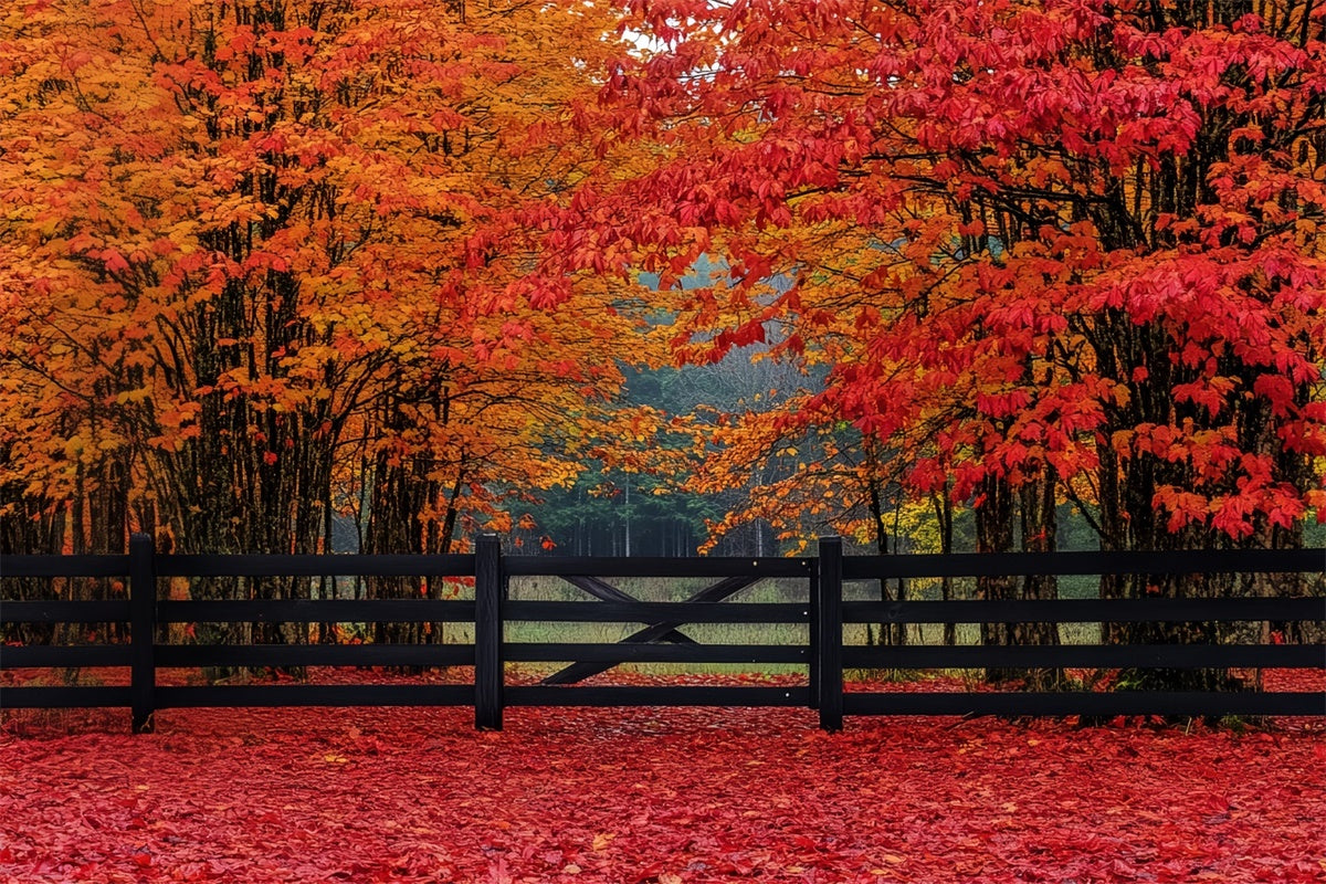 Herbst Wald Hintergrund Scharlachrot Wald Eintrag Hintergrund CSH6-220