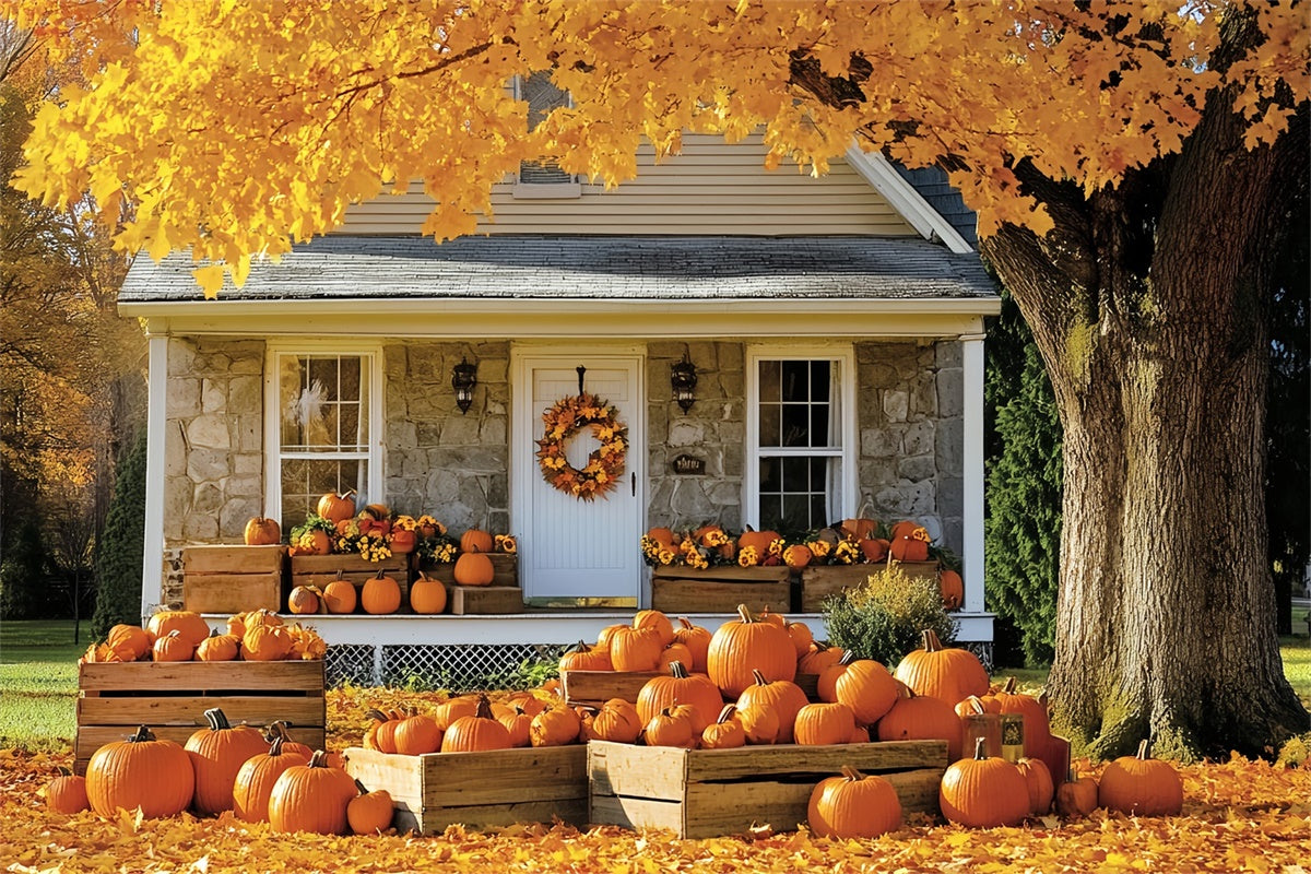 Herbst-Hintergrund für Bilder Golden Tree Cottage Backdrop CSH6-222