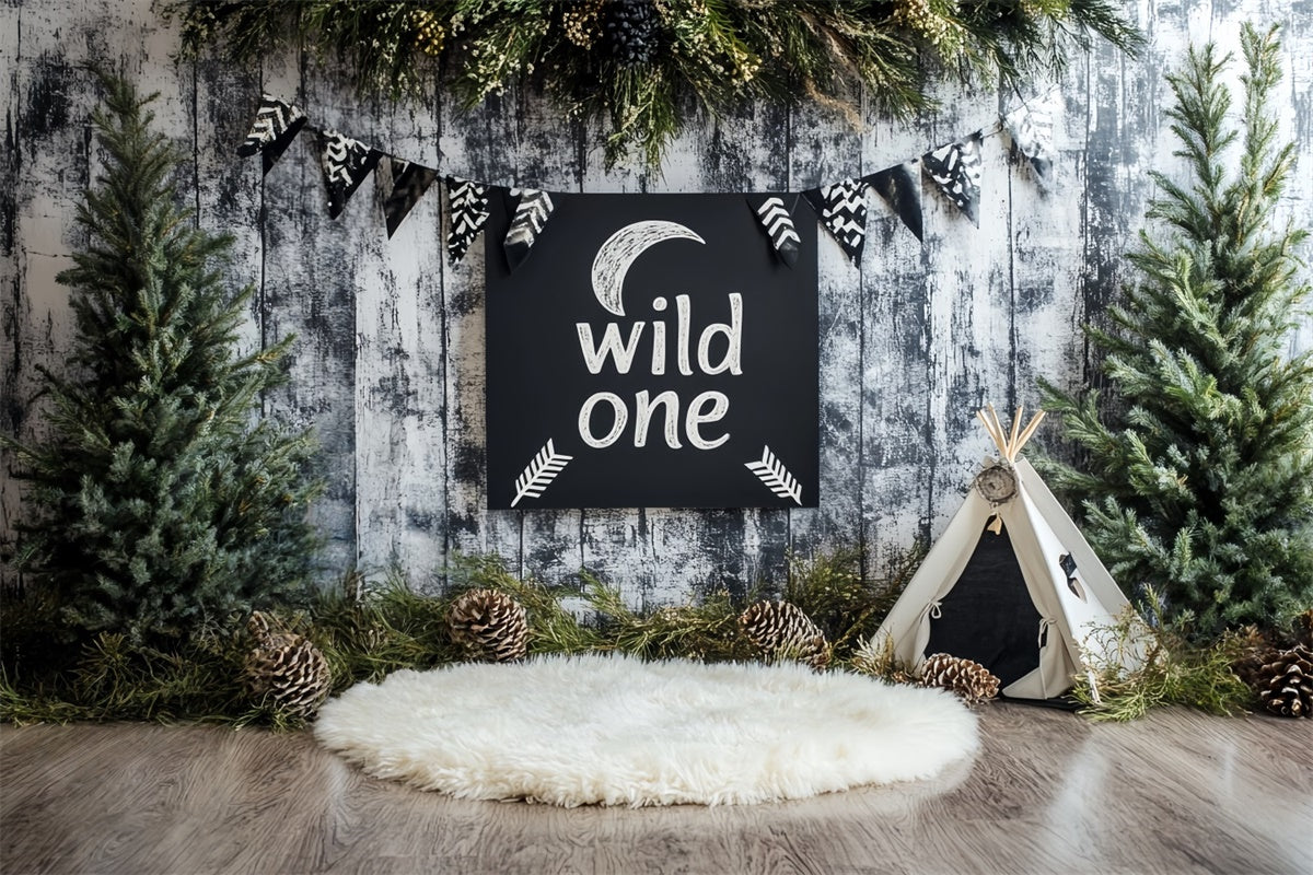 1. Geburtstag Backdrop Woodland Explorer Party Backdrop CSH6-293