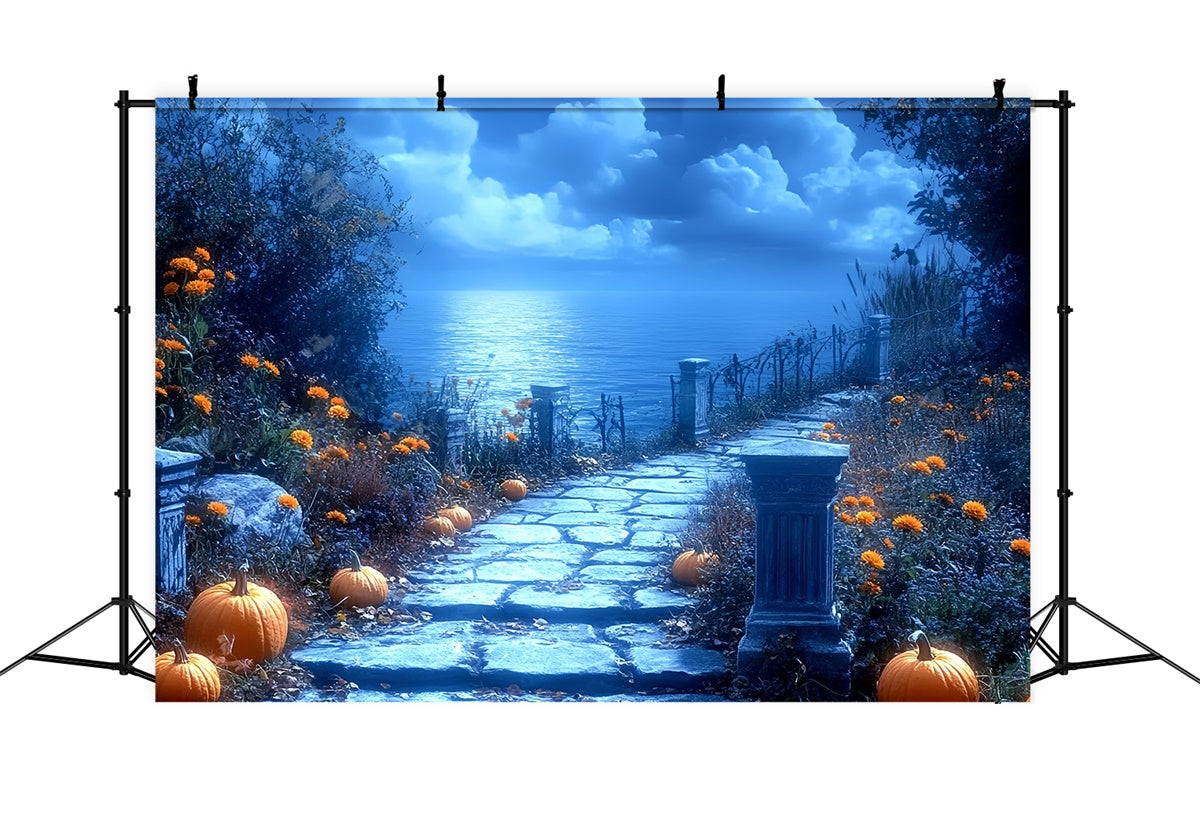 Halloween Fotokulissen Mondlicht Kürbis Pfad Hintergrund CSH6-86