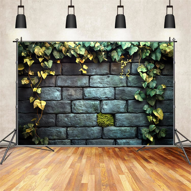 Halloween Wand Backdrop Efeu Garten Steinwand Backdrop CSH6-92