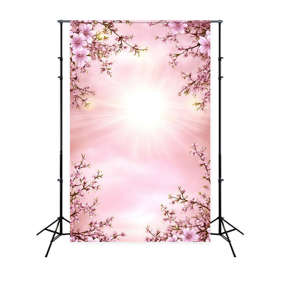 Frühlingsporträt-Hintergründe Rosa Kirschblüten-Strahlkraft Frühlingshintergrund für Bilder CSH61-158