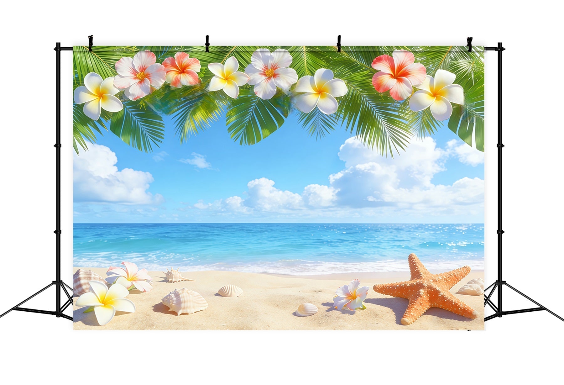 Hintergrund mit blauem Himmel Tropische Plumeria Strandmuscheln Sommer-Fotohintergrund CSH62-127