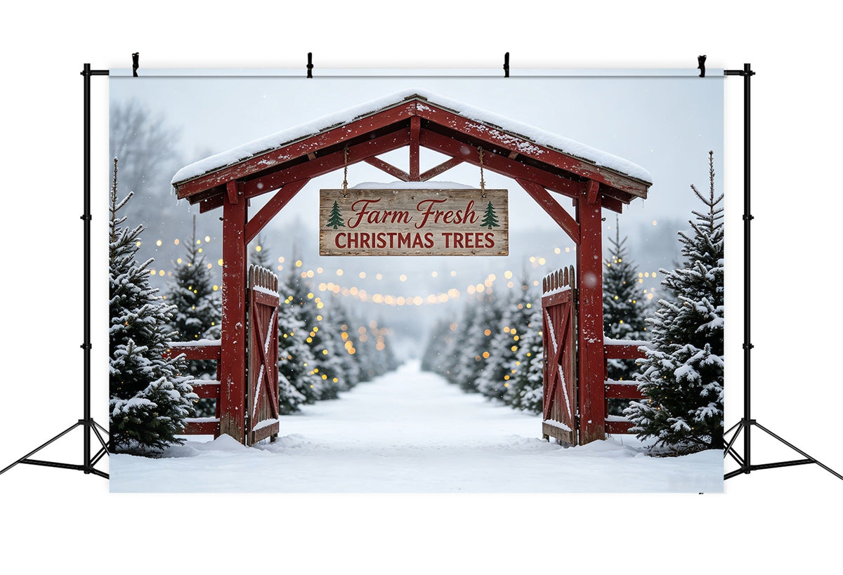 Kulisse Für Eine Weihnachtsbaumfarm Tor Der Snowy Tree Farm Weihnachtsfotohintergrund CSH69-48