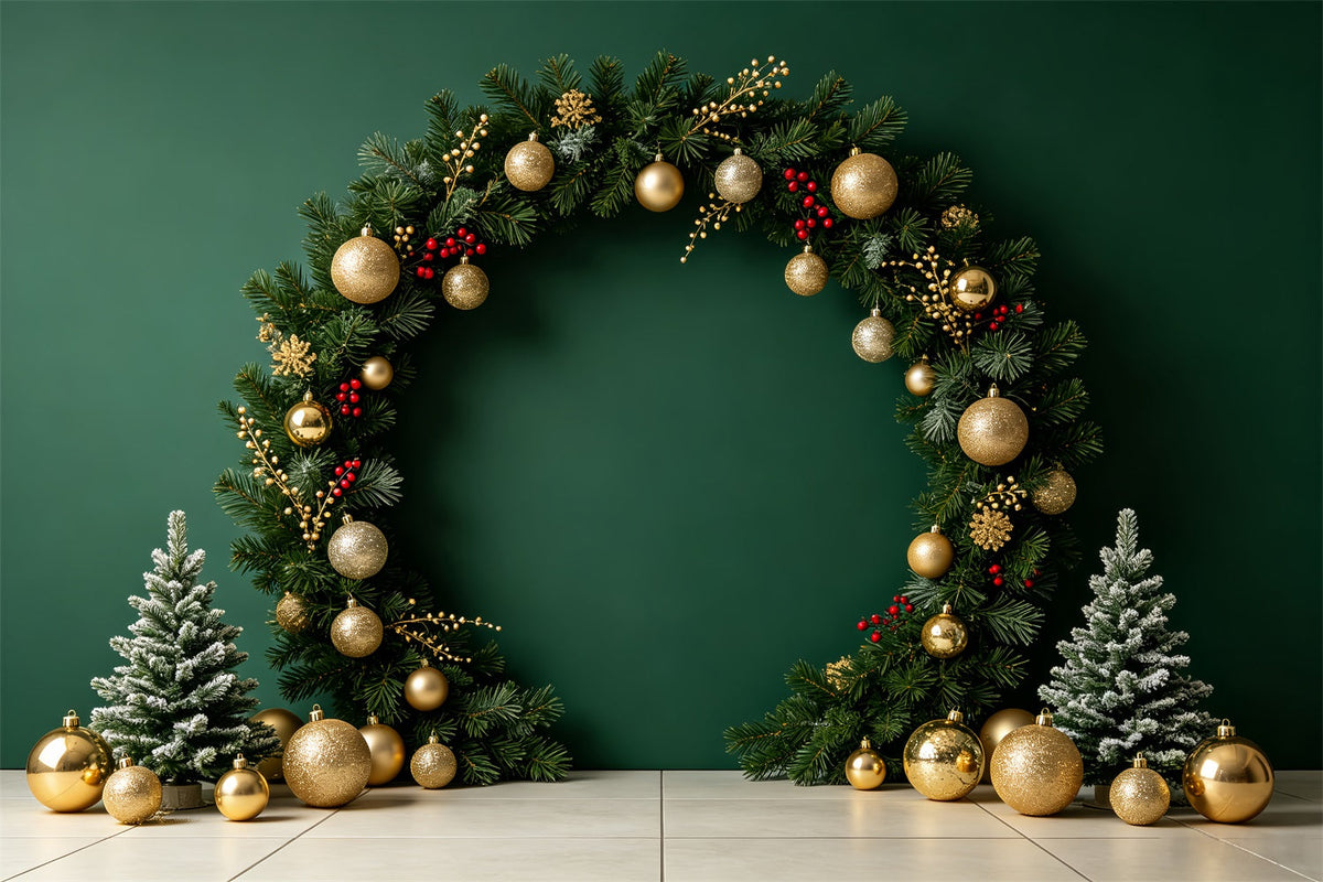Weihnachts-Fotohintergründe Grüner Ornamentbogen-Display Weihnachts-Porträt-Hintergrund CSH69-60