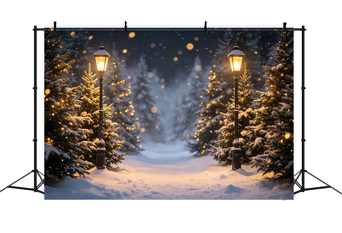 Hochauflösender Weihnachtsfotohintergrund Schneelaternenwaldpfad Weihnachtskulisse Im Freien CSH69-96