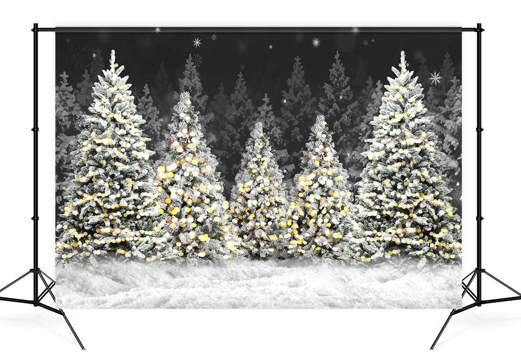 Weihnachtsnacht Wald Schnee Fotografie Hintergrund D893