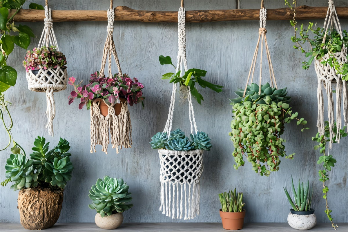 Boho Fotokulisse Makramee Hängende Pflanzenkulisse GQ2-48