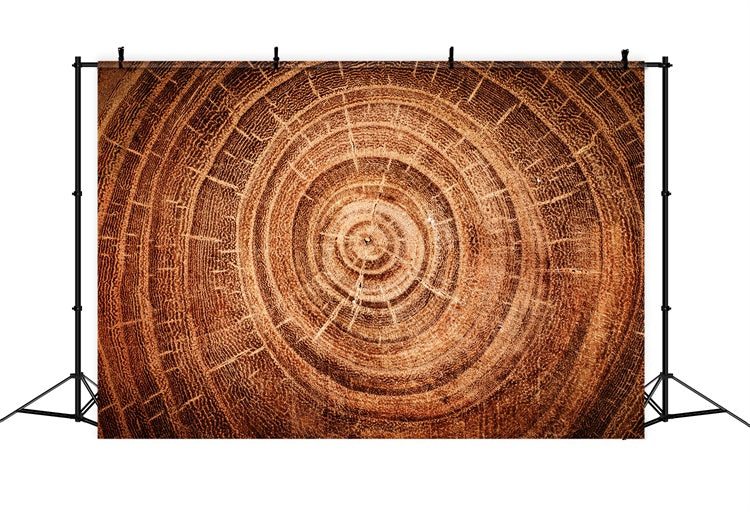 Echtholz Backdrop Baum Wachstumsringe Backdrop GQ4-132