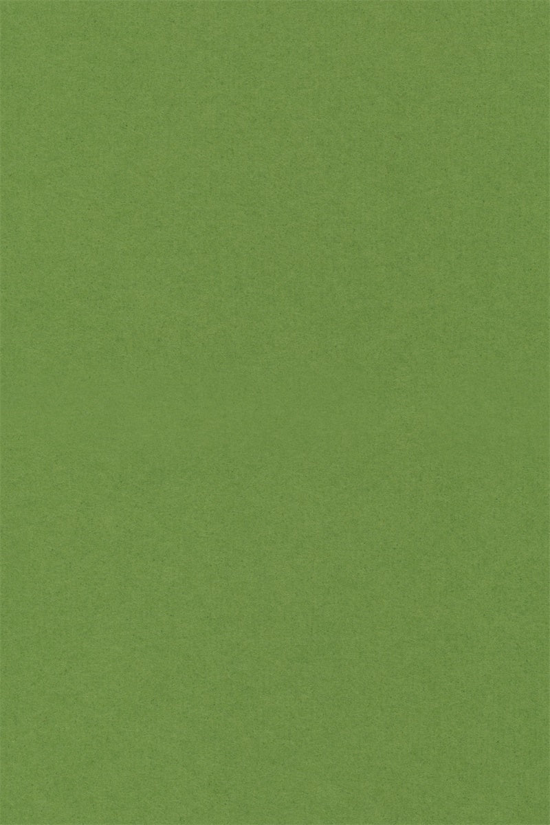 Graduation Portrait Backdrop Pure Green Glatter Hintergrund GQ4-178
