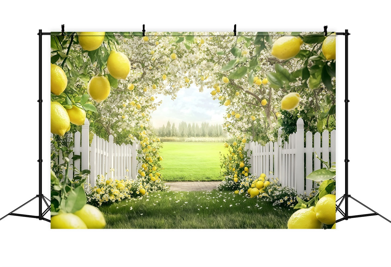 Zitrone Backdrop Blühender Sommerbaum Pfad Backdrop GQ4-265
