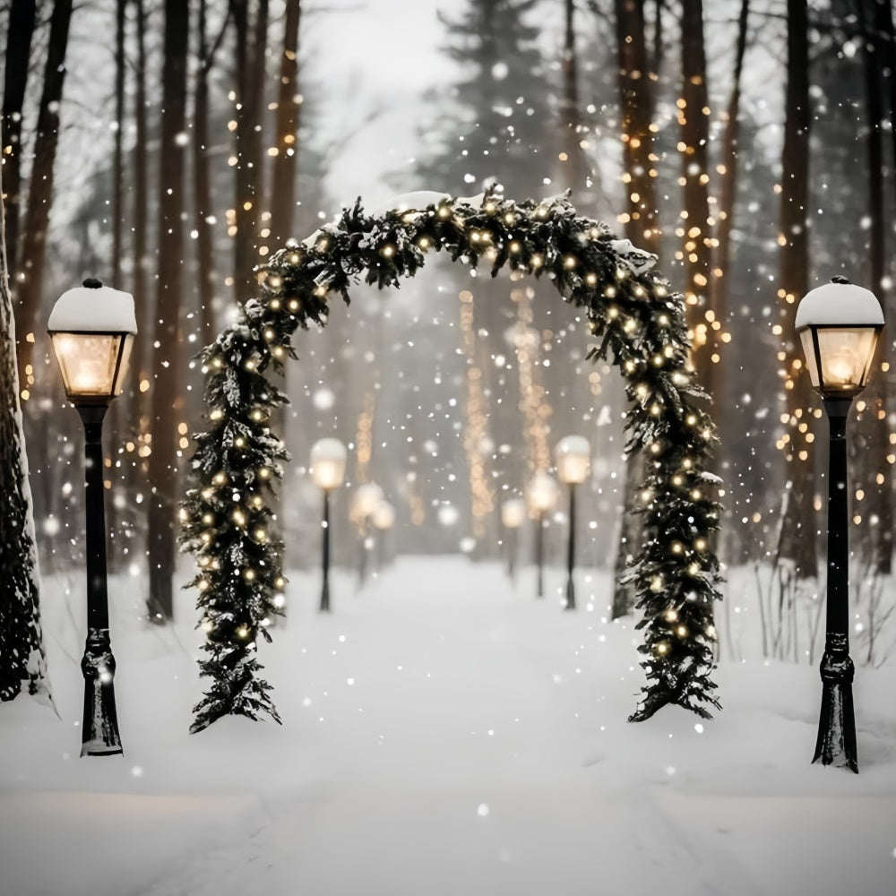 Winter Forest Backdrop Magische Laterne Snow Path Backdrop GQ57-72