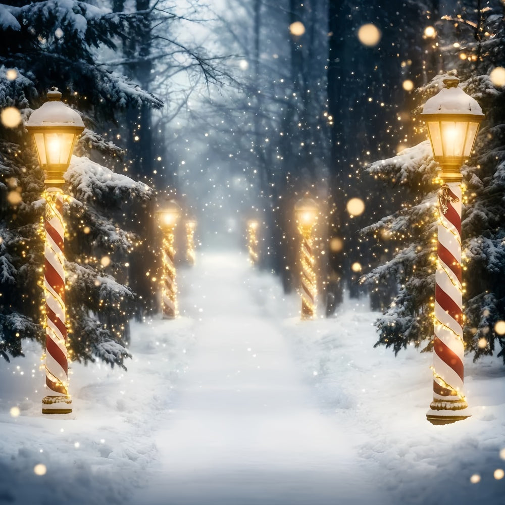 Schnee Wald Backdrop Holiday Magic Forest Backdrop GQ57-73