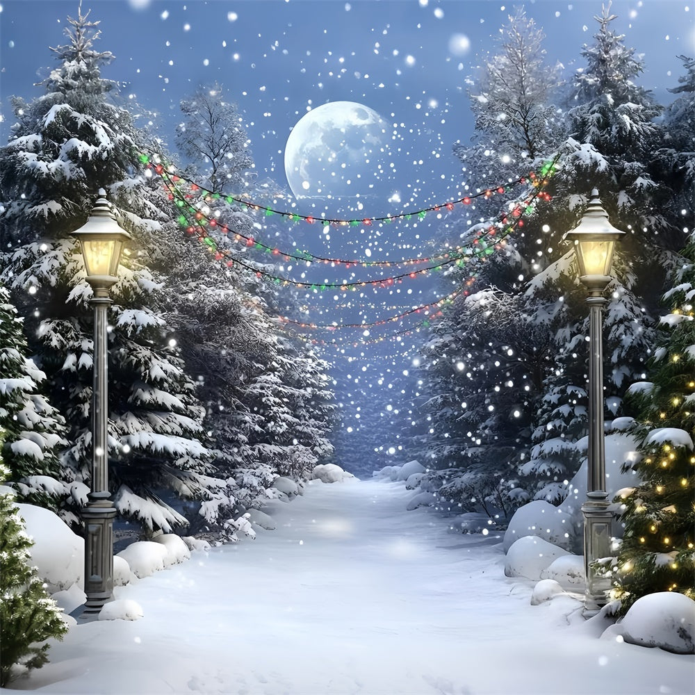 Nacht Wald Hintergrund Vollmond Winter Pfad Hintergrund GQ57-74