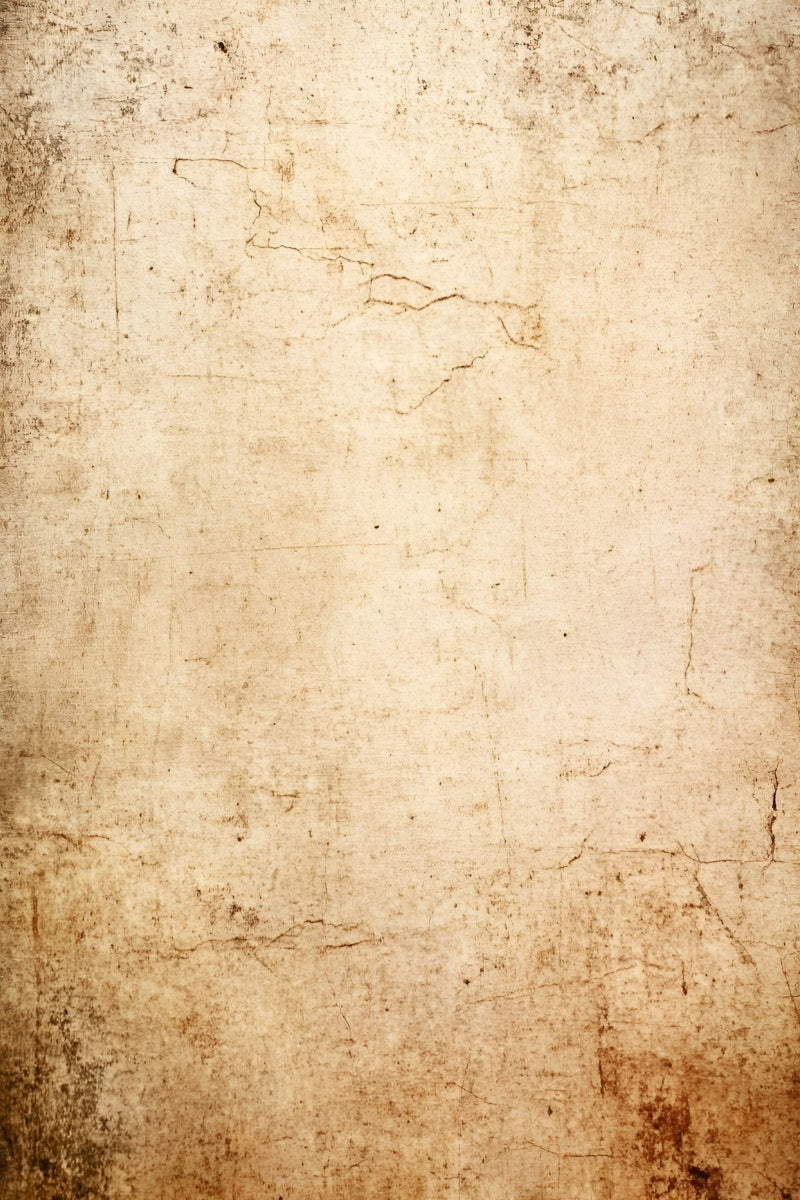 Grunge Backdrop Aged Beige Distressed Wall Texture Studiohintergründe für Porträts GQ58-89