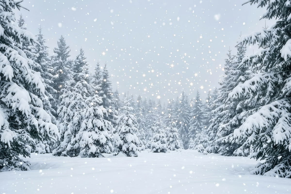 Weihnachtsbaum-Hintergrund Verschneiter Immergrüner Wald GQ610-111