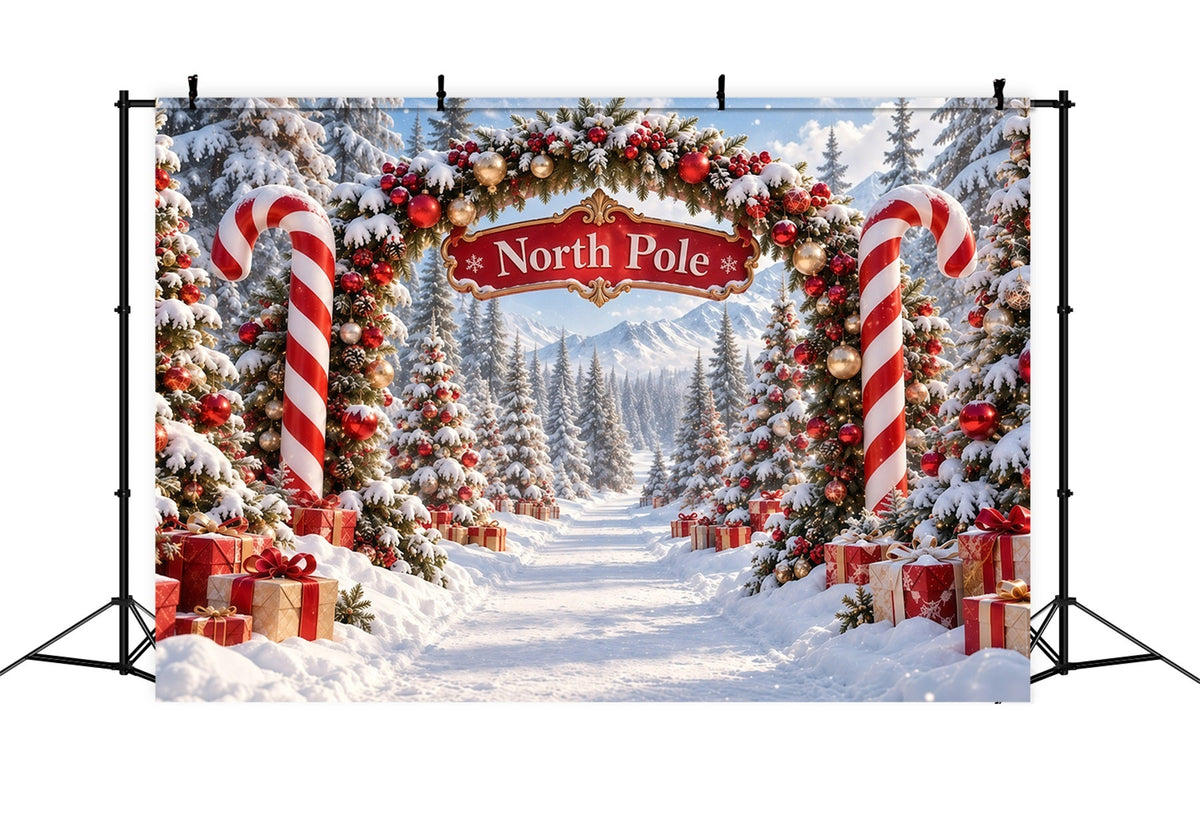 Nordpol-Fotohintergrund Zuckerstangen-Ornament-Torbogen GQ610-122
