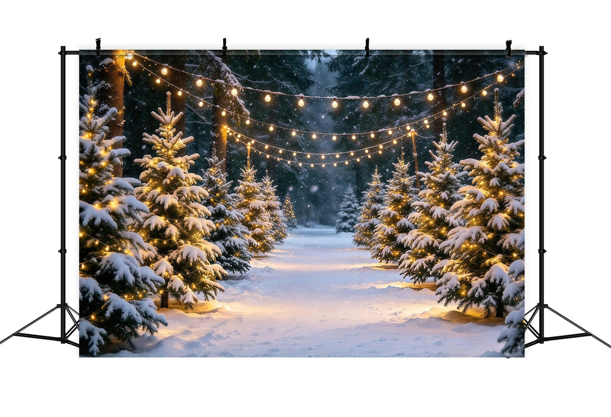 Weihnachtsbaumfarm Hintergrund Verschneiter Kiefernweg Lichterketten GQ610-16