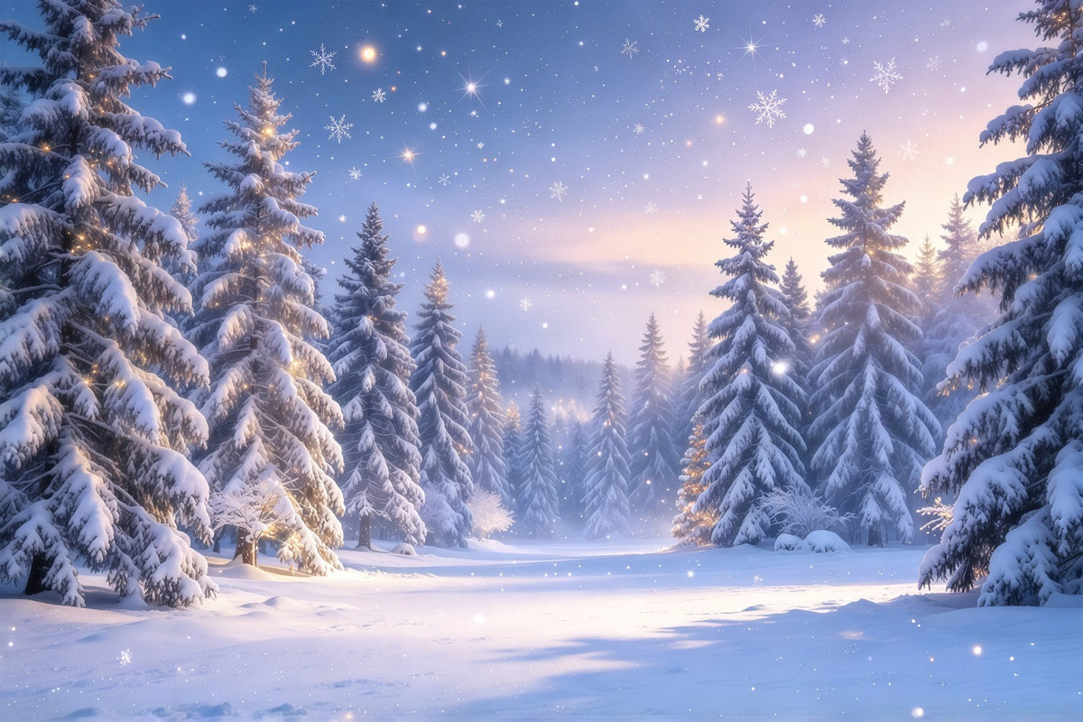 Weihnachtsbaum Hintergrund Dämmerung Verschneiter Kiefernwald GQ610-42