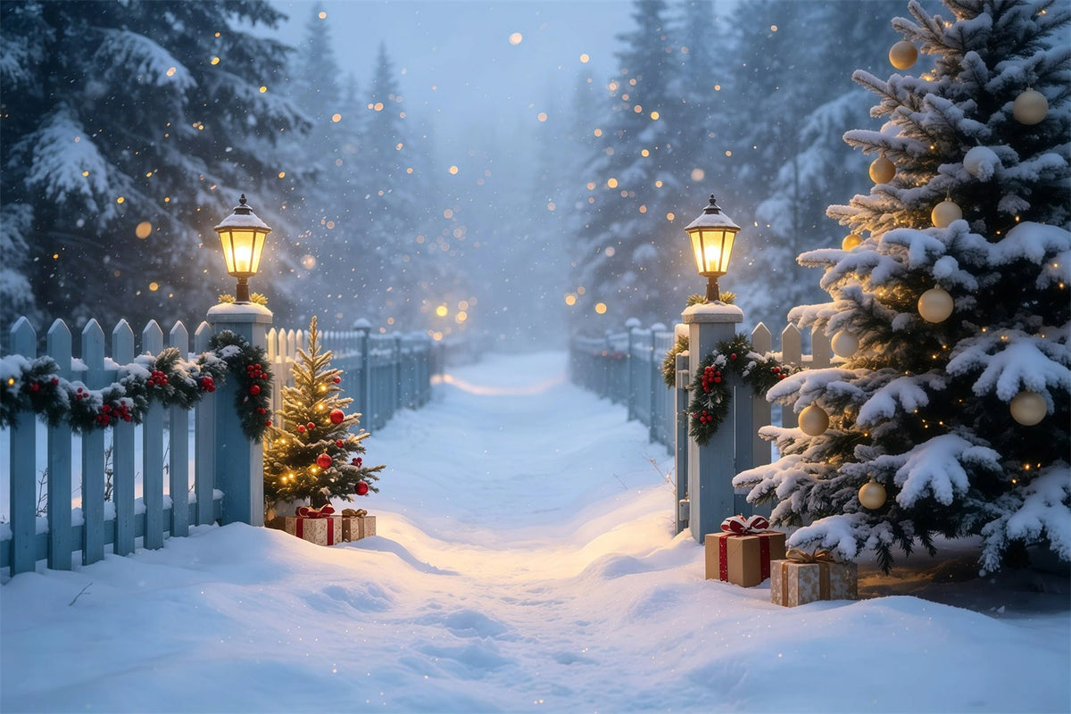Verschneite Weihnachtskulisse Schneeweg Im Laternengarten Weihnachtsfotohintergrund GQ68-105