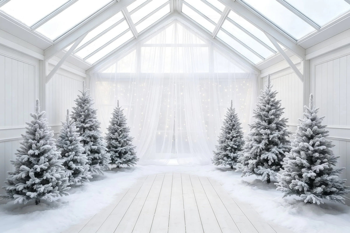 Weihnachtsbaum-Hintergrund Atrium Aus Bereifter Weißer Kiefer Weihnachtshintergrund Aus Musselin GQ68-111