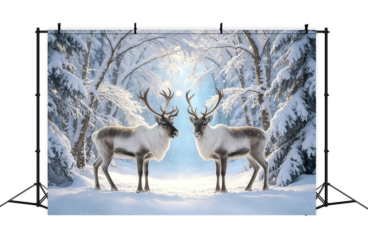 Verschneite Weihnachtskulisse Rentier-Winterwaldpfad Weihnachtsfotohintergrund GQ68-117