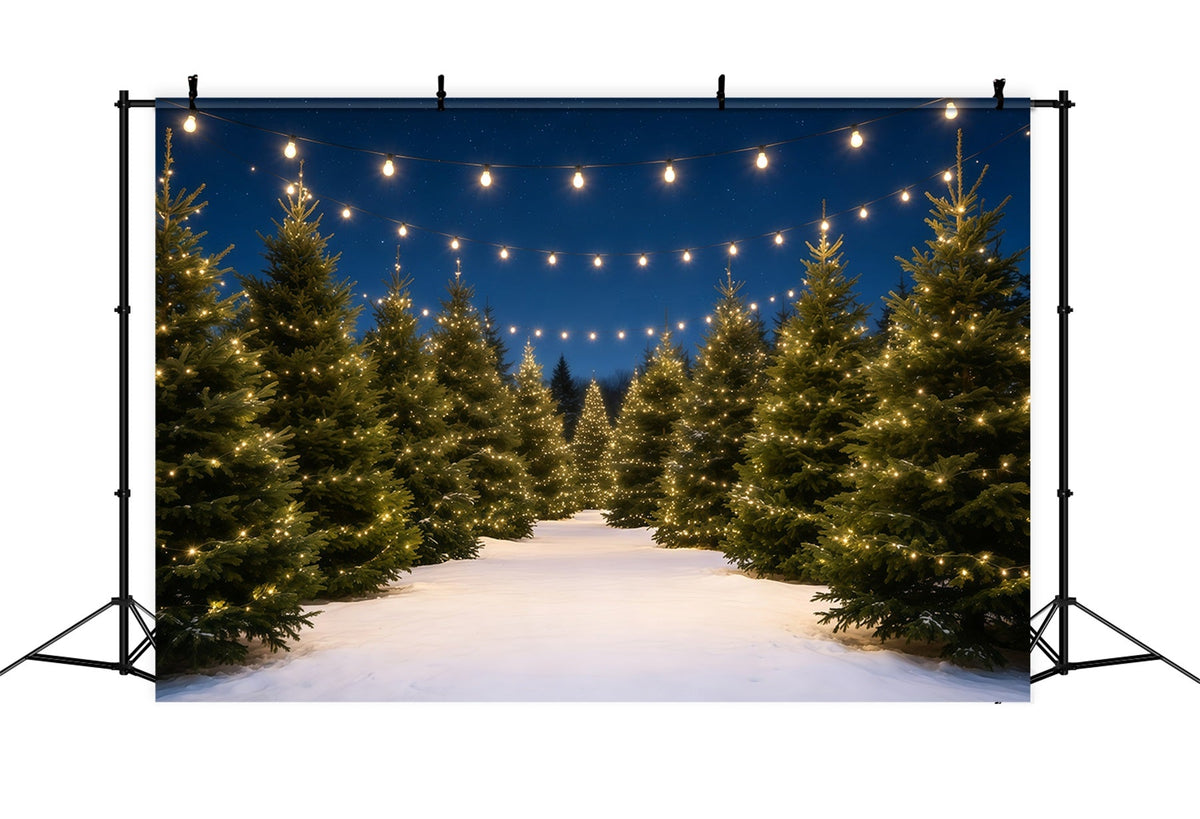 Kulisse Für Eine Weihnachtsbaumfarm Lichtpfad Aus Verschneiten Kiefern Weihnachtskulissen GQ68-132