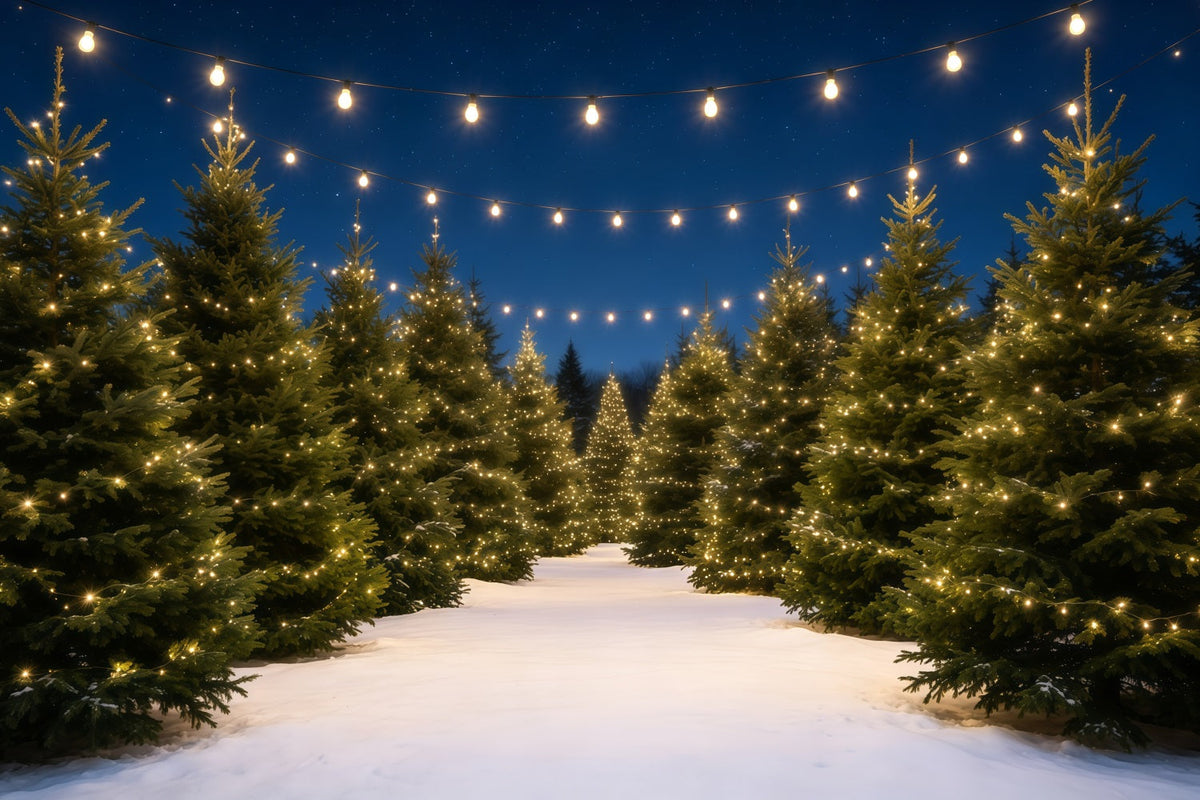 Kulisse Für Eine Weihnachtsbaumfarm Lichtpfad Aus Verschneiten Kiefern Weihnachtskulissen GQ68-132