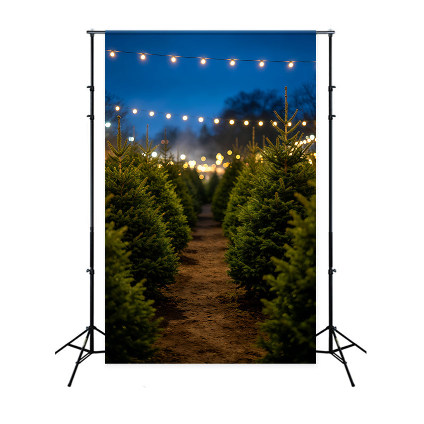 Weihnachtsbaum-Hintergrund Kiefernpfad Bei Nacht Weihnachtshintergründe Für Den Innenbereich GQ69-49