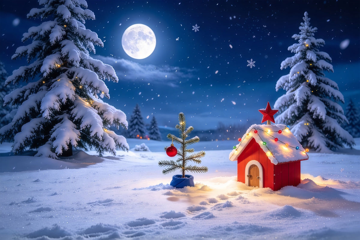 Lustiger Weihnachtshintergrund Mondbeschienene Verschneite Hütte Landschaft GQ69-73