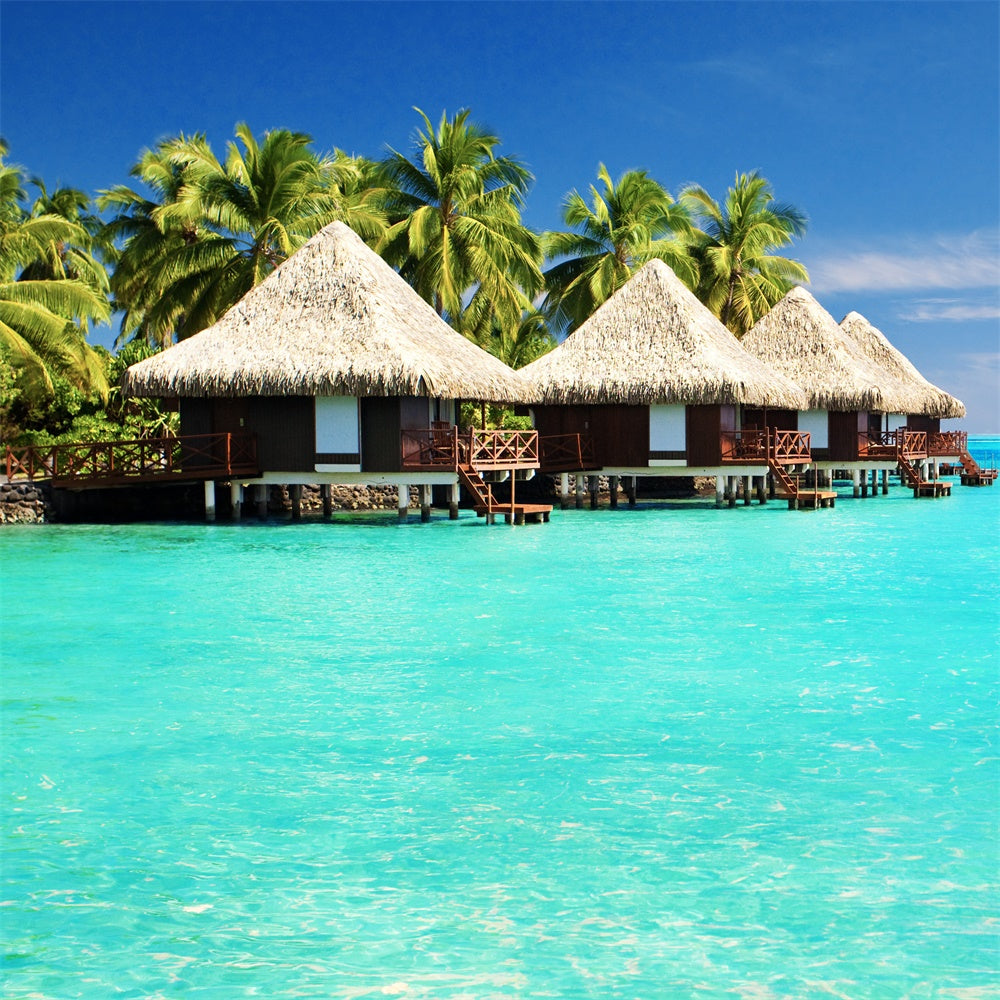Tropical Backdrop Tropische Insel Wasser Bungalow Sommerhintergrund GTY3-383